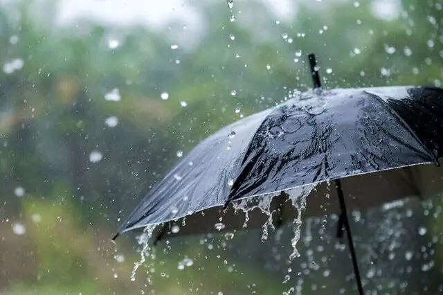 پیش بینی وضعیت آب و هوا سیستان و بلوچستان فردا شنبه ۱۰ آذر ماه ۱۴۰۳ | هواشناسی سیستان و بلوچستان ۲۴ ساعت آینده