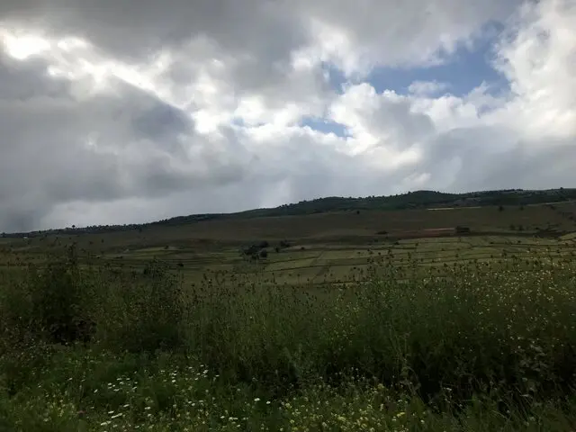 مازندرانی ها بخوانند؛ افزایش دما در مازندران