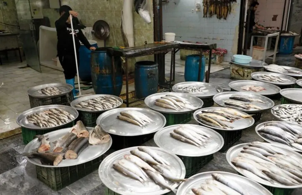 قیمت انواع ماهی امروز دوشنبه ۳ اردیبهشت ماه ۱۴۰۳