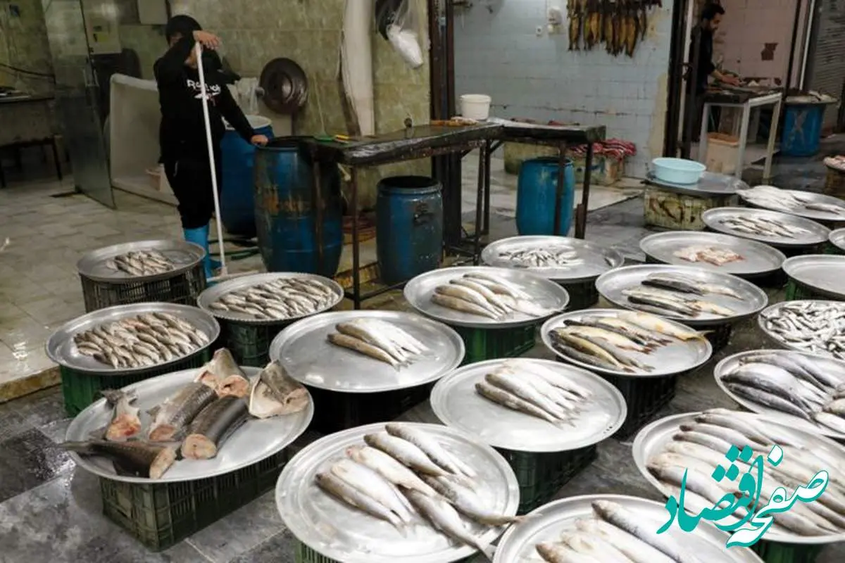قیمت انواع ماهی امروز دوشنبه ۳ اردیبهشت ماه ۱۴۰۳