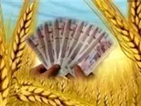 افزایش ۱۰ درصدی قیمت خرید تضمینی گندم منطقی نیست