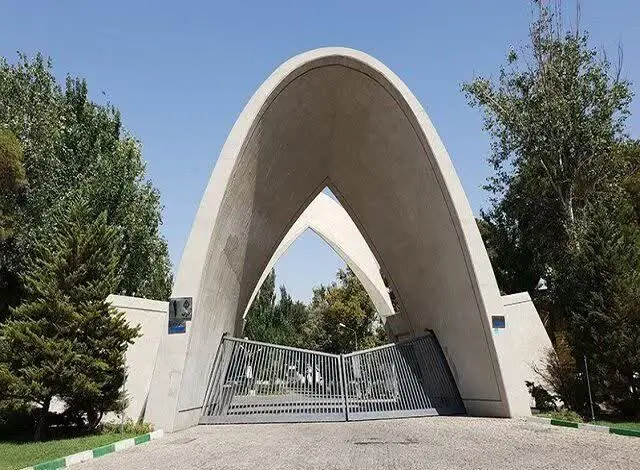 علت فوت ناگهانی محمدمهدی محمدی دانشجوی علم و صنعت چه بود؟ + بیوگرافی