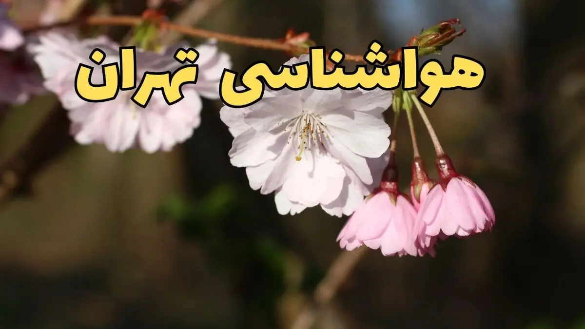 هوای تهران فردا پنجشنبه چگونه خواهد شد؟