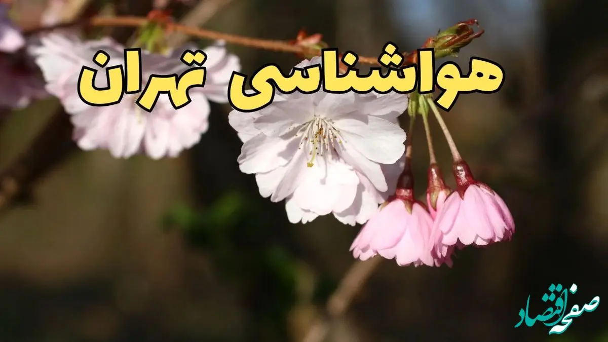 پیش بینی هواشناسی تهران ۲۴ ساعت آینده | وضعیت آب و هوا تهران فردا سه شنبه ۱۲ فروردین ماه ۱۴۰۴ | آب و هوای تهران در روز ۱۳ بدر 