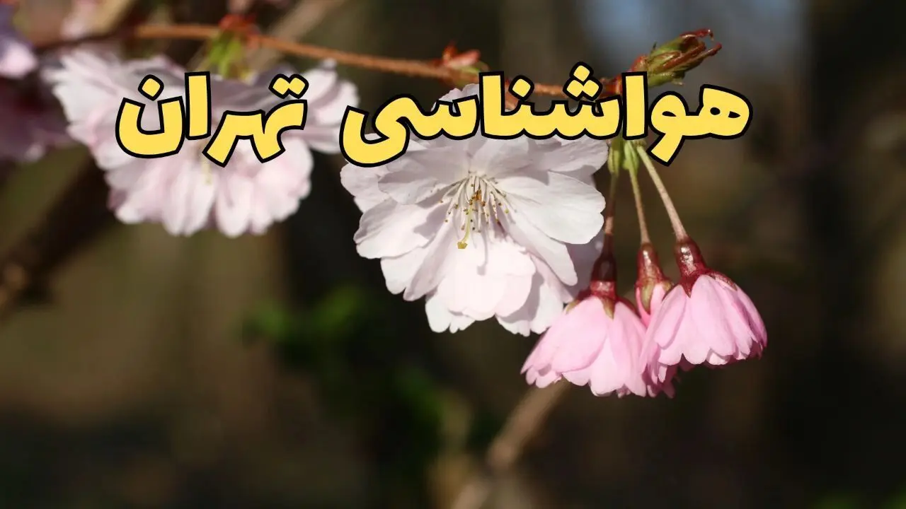 هوای تهران فردا پنجشنبه چگونه خواهد شد؟