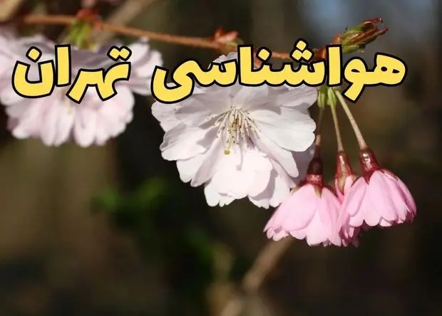 هوای تهران فردا پنجشنبه چگونه خواهد شد؟