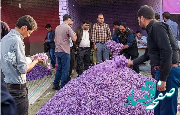 قاچاق طلای سرخ؛ افغانستان چگونه ۴ برابر تولید خود زعفران صادر می‌کند؟