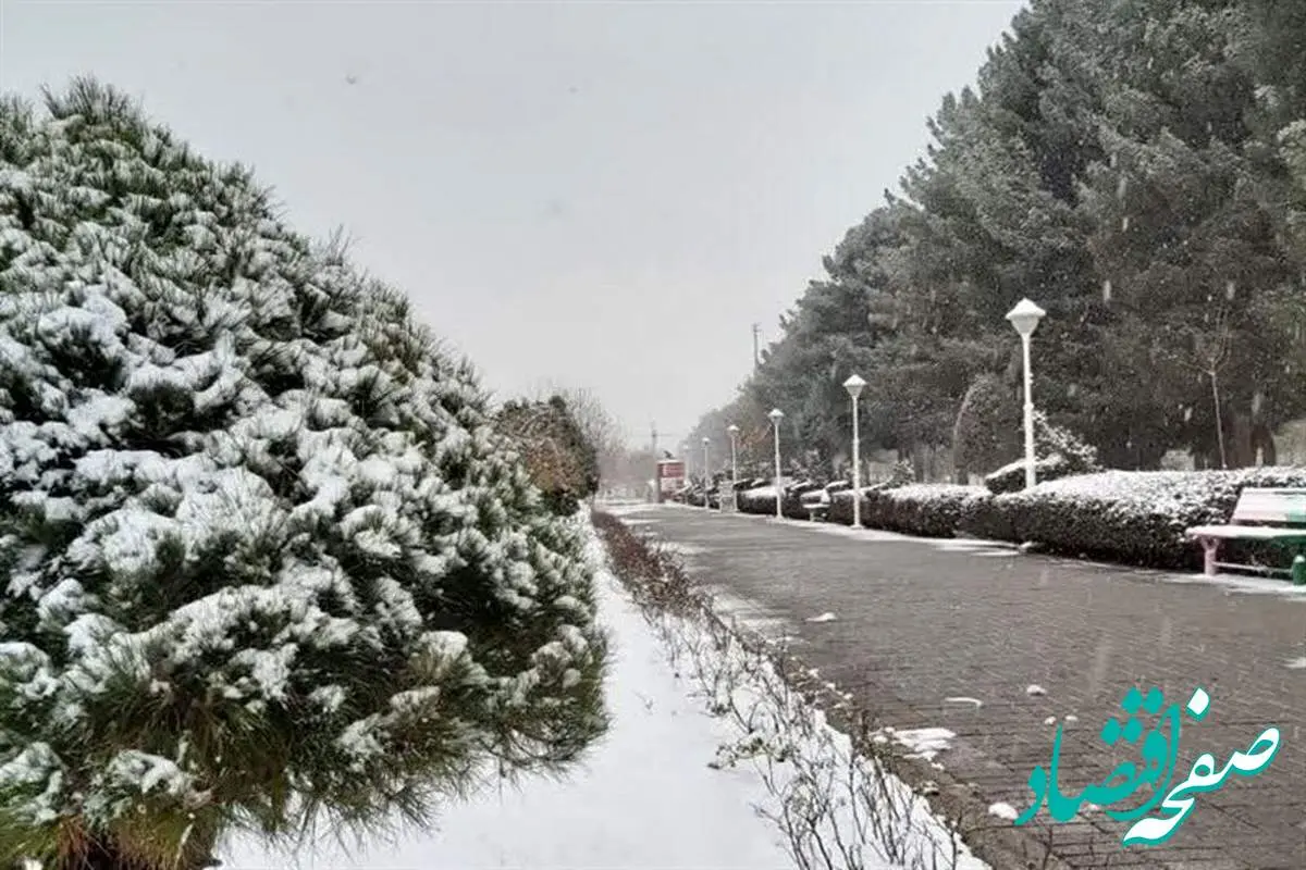 هواشناسی فردا پنجشنبه ۲۰ دی ۱۴۰۳ / بارش برف و باران در کدام استان‌ها آغاز می‌شود؟