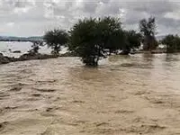 آخرین خبر از خسارت سیل در سیستان و بلوچستان امروز 14 مرداد ماه 1402

