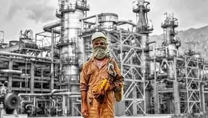 طرح ساماندهی کارکنان دولت را برای این نیروها فراموش نکنید!