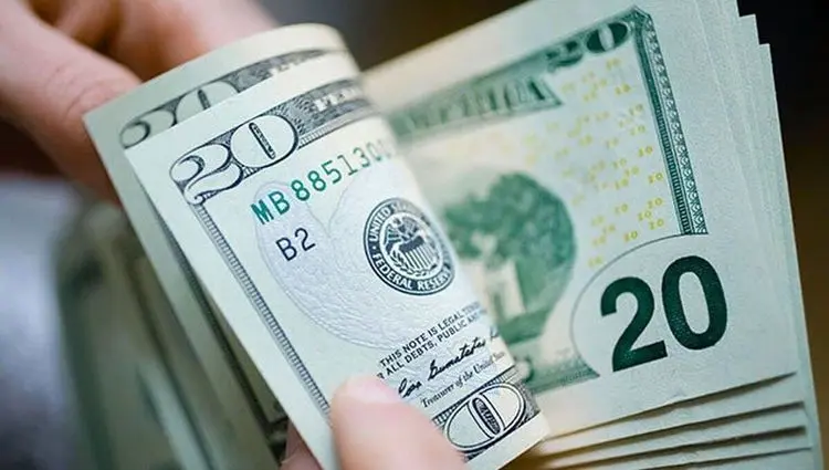 بروزترین قیمت دلار و یورو امروز شنبه ۱۴ تیر ۱۴۰۴ + جدول دلار چقدر شد؟ 