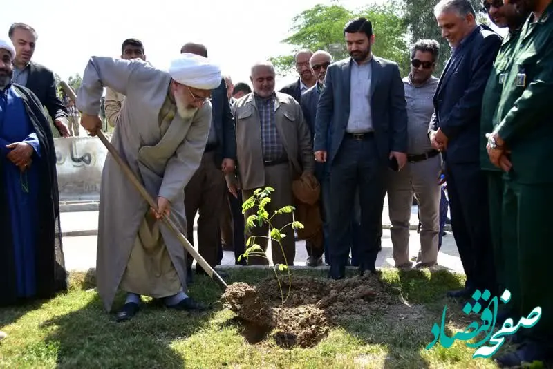 کاشت نهال در منطقه آزاد اروند

