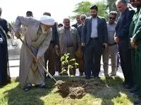 کاشت نهال در منطقه آزاد اروند

