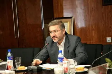 رییس سازمان برنامه و بودجه درباره تورم چه وعده عجیبی داد؟ 