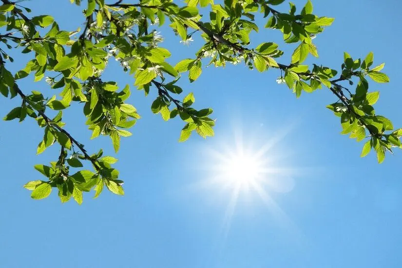 پیش بینی هواشناسی خراسان رضوی فردا شنبه ۲۷ تیر ۱۴۰۵ 