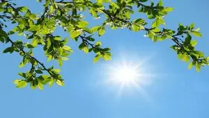 پیش بینی هواشناسی خراسان رضوی فردا شنبه ۲۷ تیر ۱۴۰۵ 