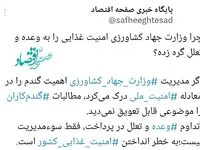 چرا وزارت جهاد کشاورزی امنیت غذایی را به وعده و تعلل گره زده؟