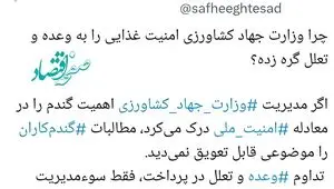 چرا وزارت جهاد کشاورزی امنیت غذایی را به وعده و تعلل گره زده؟