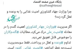 چرا وزارت جهاد کشاورزی امنیت غذایی را به وعده و تعلل گره زده؟