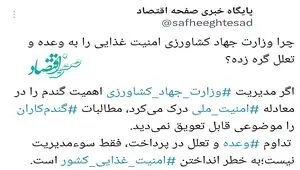 چرا وزارت جهاد کشاورزی امنیت غذایی را به وعده و تعلل گره زده؟