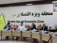 نشست کارشناسی جهت پیشبرد اهداف نظام مدیریتی در منطقه ویژه اقتصادی سرخس برگزار شد