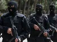 5گروگان  با کمک ماموران  پرافتخار "نوپو " از دست آدم ربایان نجات یافتند !