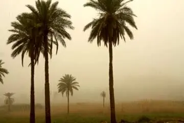 شاخص آلودگی هوای خوزستان امروز سه شنبه ۱۵ مهر ماه ۱۴۰۴ 