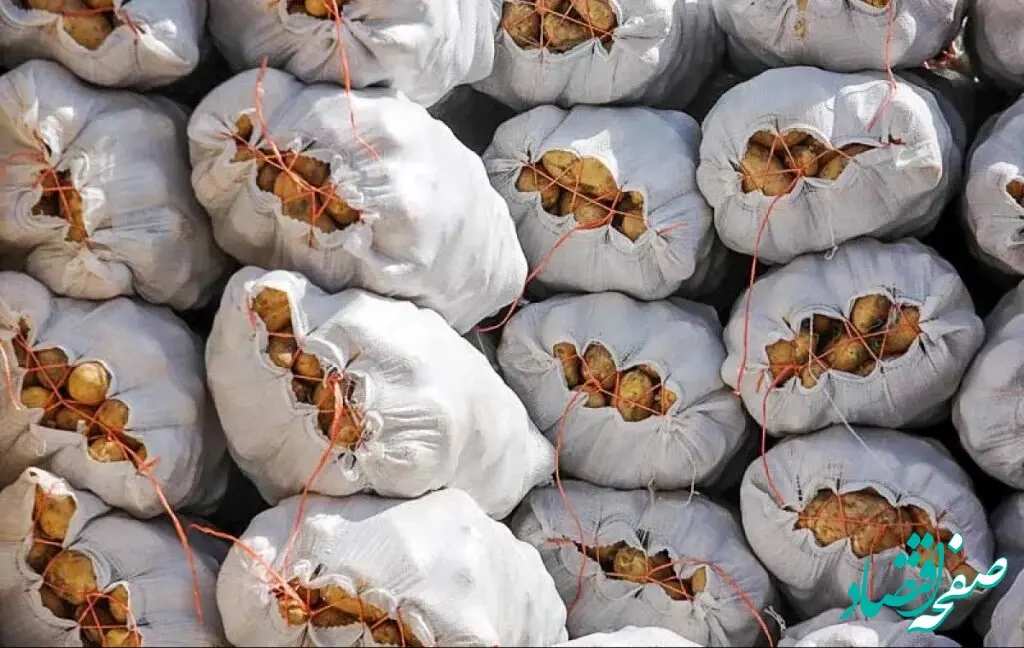 قیمت سیب زمینی به یک‌سال قبل برمی‌گردد؟ / قیمت سیب زمینی کیلویی چند؟ 