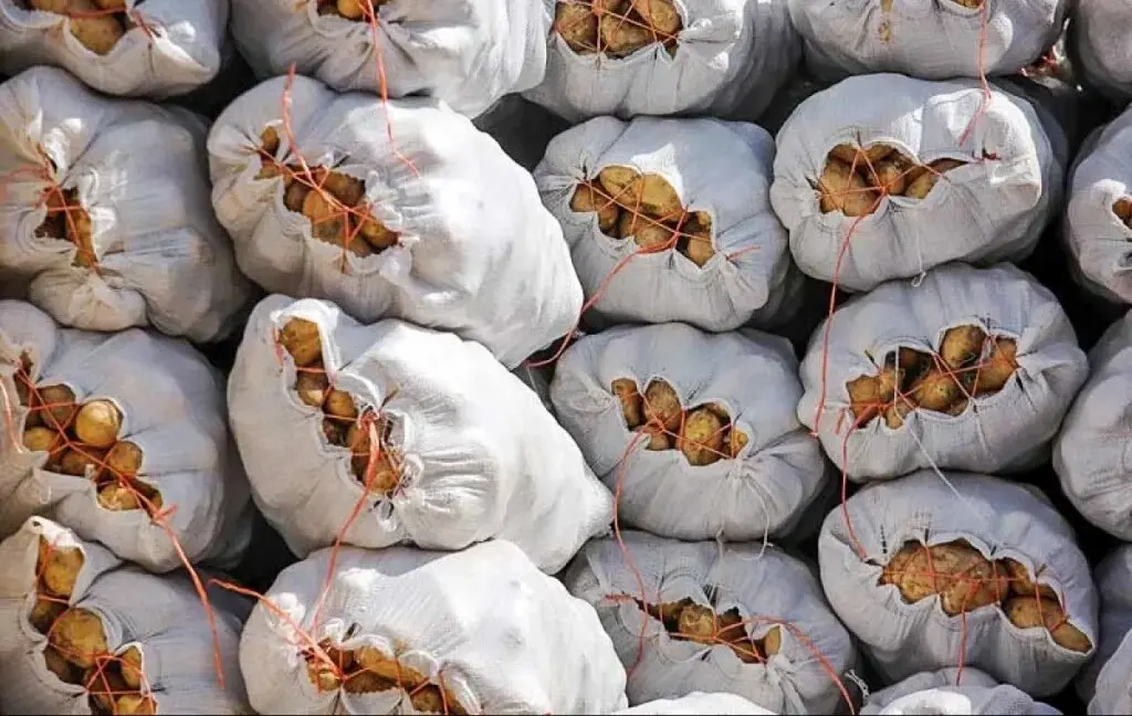 قیمت سیب زمینی به یک‌سال قبل برمی‌گردد؟ / قیمت سیب زمینی کیلویی چند؟ 