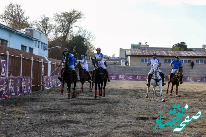  ماجرای مسمومیت ۲۵ راس از اسب‌های باشگاه چوگان شهدا (قصر فیروزه) چه بود؟