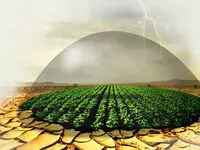 ورود بیش از ۷۲۵۰ عضو جدید در صندوق بیمه کشاورزی 