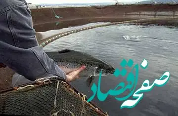 احداث بزرگترین مجتمع پرورش ماهیان گرمابی خرمشهر