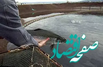 احداث بزرگترین مجتمع پرورش ماهیان گرمابی خرمشهر