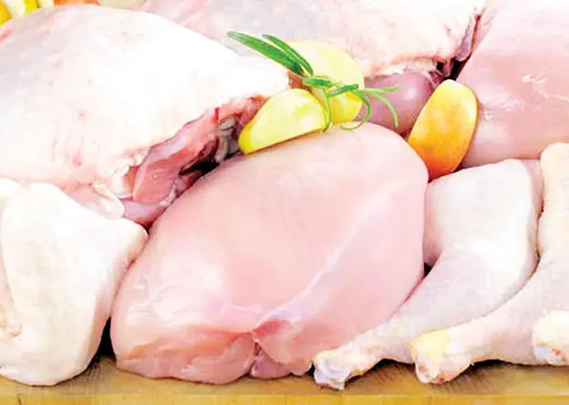 مرغ گران‌تر می‌شود؟ هشدار جدی تولیدکنندگان درباره جهش نهاده‌های دامی