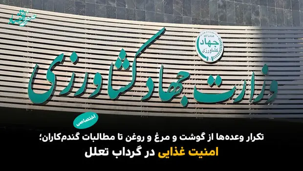 امنیت غذایی در گرداب تعلل