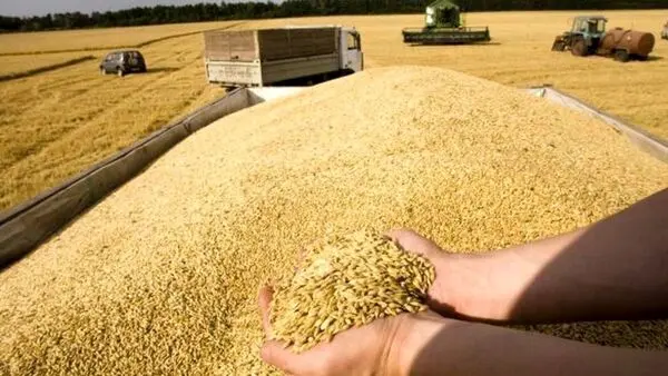 بدهی دولت به بخش خصوصی تعیین تکلیف می شود
