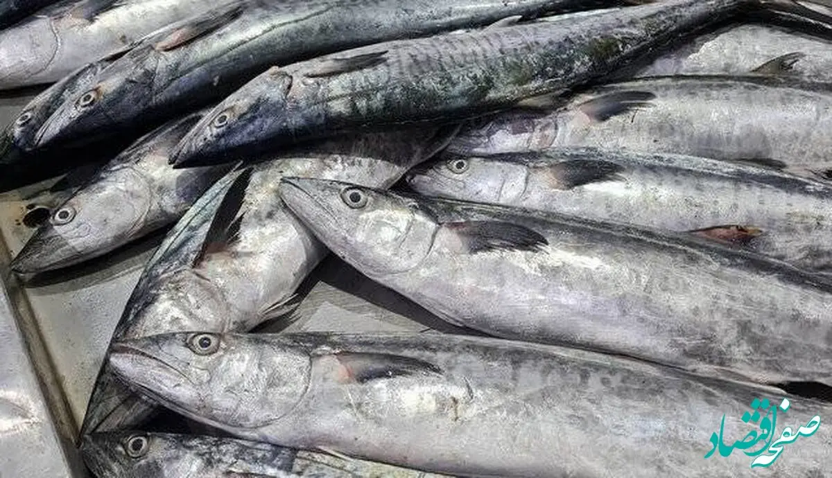 ممنوعیت جدید در خلیج فارس اعمال شد