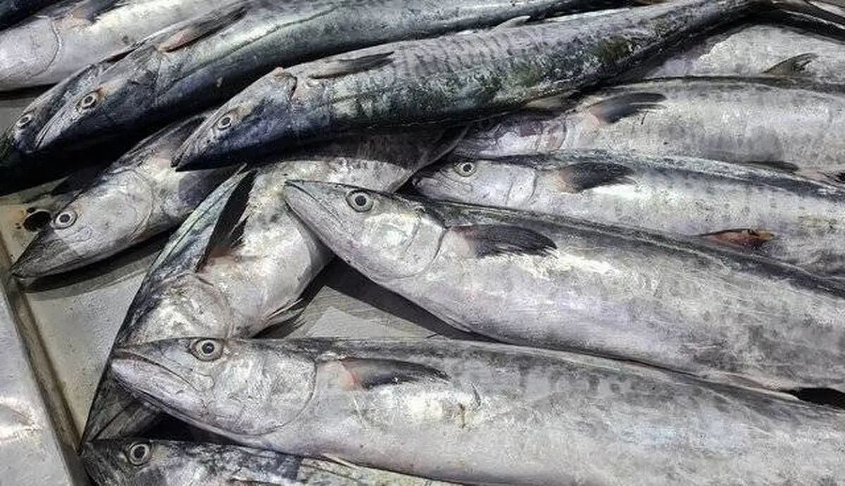 ممنوعیت جدید در خلیج فارس اعمال شد