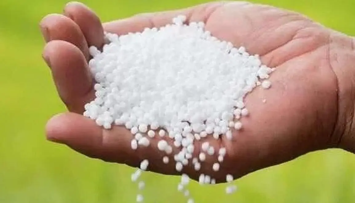 از مطالبات ۵۰ همتی اوره‌سازان از دولت چه خبر؟ 
