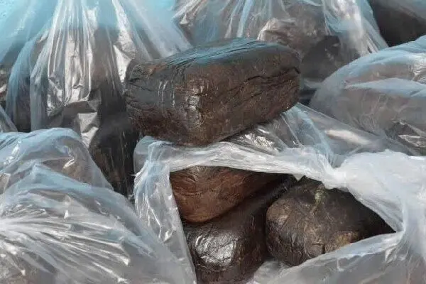 ۳۱۰ گرم تریاک از معده مسافر اتوبوس در قاینات کشف شد