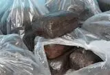 ۳۱۰ گرم تریاک از معده مسافر اتوبوس در قاینات کشف شد