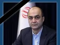پیام تسلیت مدیرعامل بیمه آسیا به مناسبت درگذشت مدیر عامل بانک ملت
