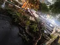 هشدار فوری پلیس به رانندگان تهرانی