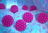 HPV چیست و درباره آن چه می‌دانید؟ 