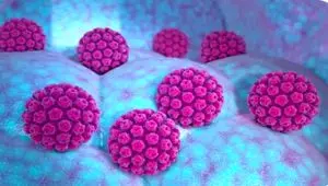 HPV چیست و درباره آن چه می‌دانید؟ 