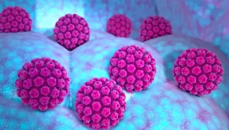 HPV چیست و درباره آن چه می‌دانید؟ 