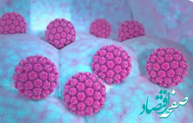 HPV چیست و درباره آن چه می‌دانید؟ 