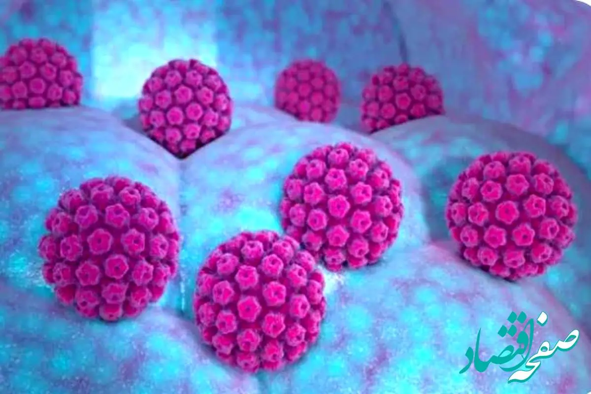 HPV چیست و درباره آن چه می‌دانید؟ 