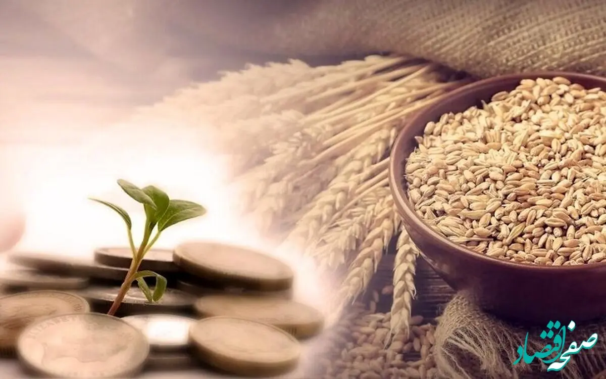 ۶ مرجع تقلید مبلغ فطریه و کفاره رمضان ۱۴۰۳ را چقدر اعلام کردند؟