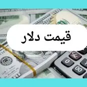 طوفان دلار آمریکا در آستانه ۹۱ هزار؛ تحلیل بازار امروز و پیش بینی فردا ۱۱ مرداد ۱۴۰۴